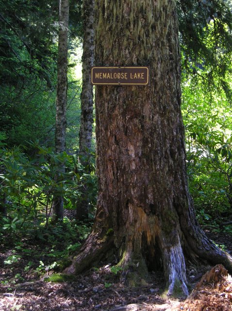 6.24-25.06 Memaloose Lake 025 